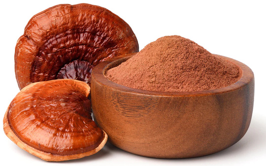 Reishi del catálogo Raíz de Oro